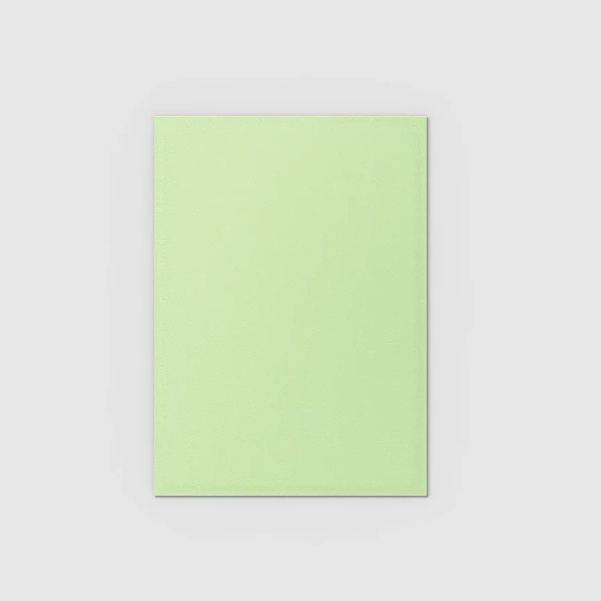Dragon Shield - Standard 'Gooseberry' DUAL Matte Sleeves 100 pack - Image 3